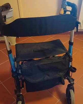 Carrello deambulatore