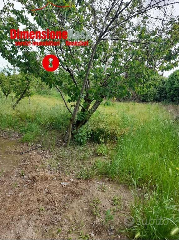 Terreno di 8218 m² a Acerra - Altro