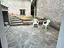 Immagine 8