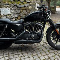 Harley Davidson 883 iron