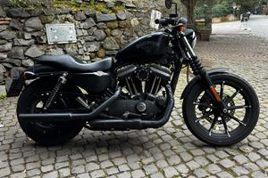 Harley Davidson 883 iron