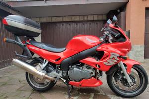 Triumph Sprint RS 955 i