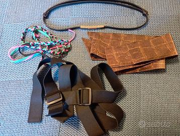 Cintura, pelle e altro.