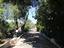 Immagine 9