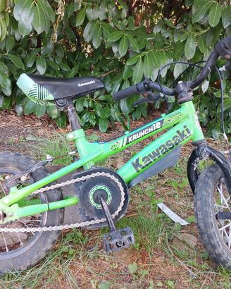 Bici 2-4 anni 12 pollici ruote grasse kawasaki