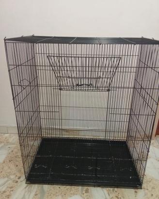 Accessori per animali