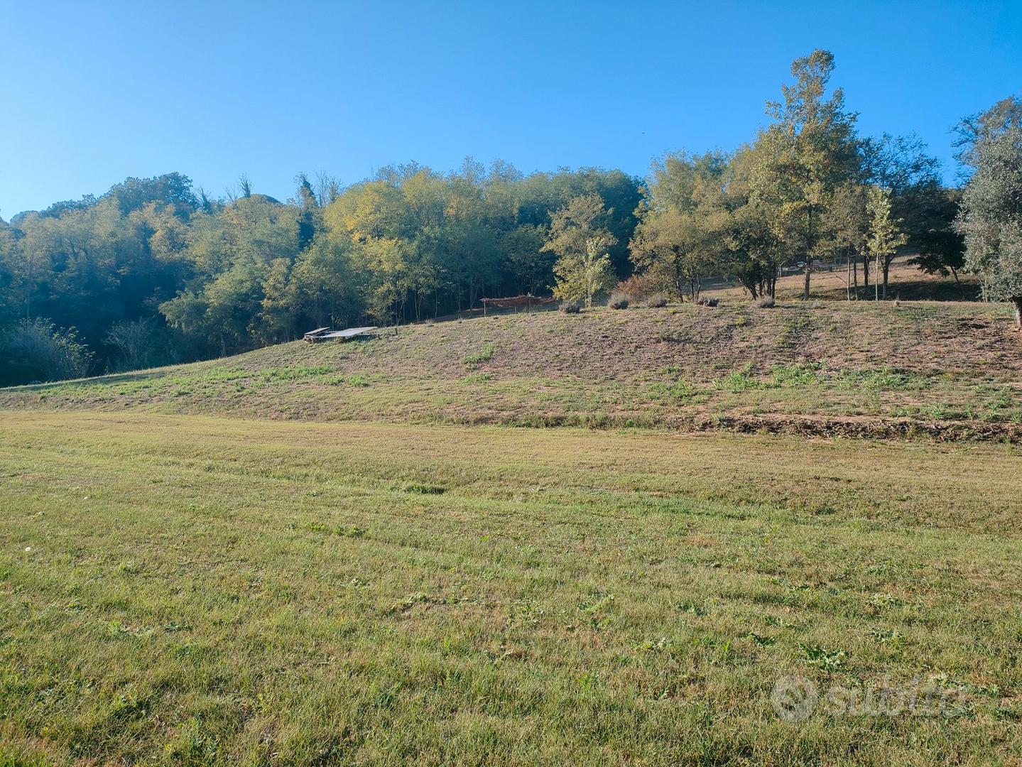 2 terreni agricoli a Lari (pi) - Vista 3