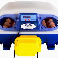 Incubatrice REAL 24 automatica