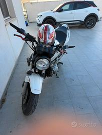 Honda hornet 600 anno fine 2004