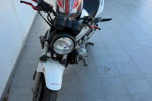Honda hornet 600 anno fine 2004
