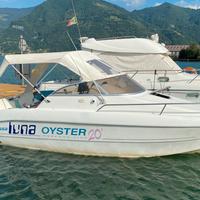 Sessa oyster 20