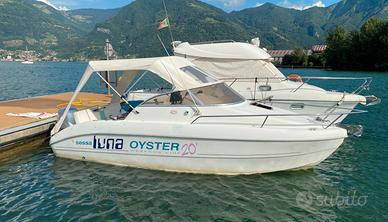 Sessa oyster 20