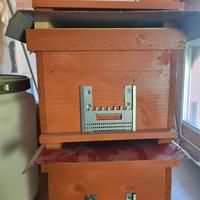 Cassettini per fecondazione api regine 