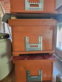 Cassettini per fecondazione api regine 