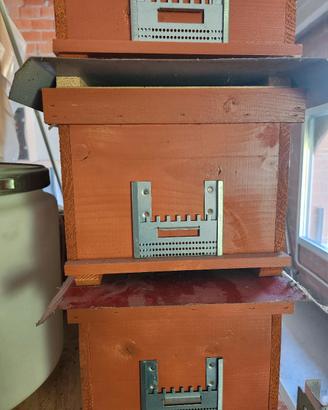 Cassettini per fecondazione api regine 