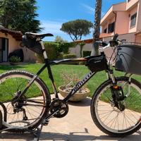 Mountain bike Bottecchia