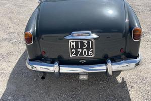 alfa 1900