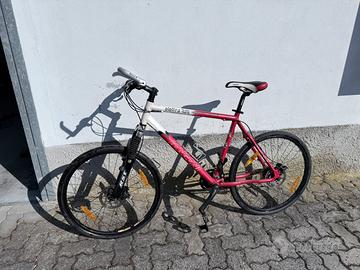 MTB Longoni