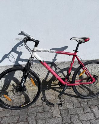 MTB Longoni