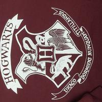 Felpa Harry potter 14/15 anni