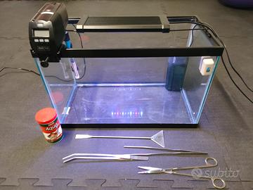 Acquario completo 40 litri 