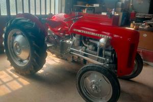 1953 Massey Ferguson TEF20 con sollevamento 
