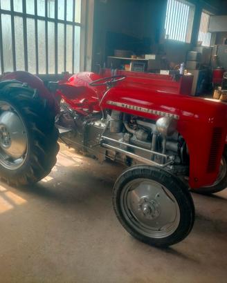1953 Massey Ferguson TEF20 con sollevamento 