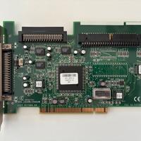 Adaptec aha 2940w / 2940uw PCI con cavo scsi