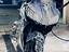 Immagine 4