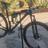 Torpado Ribot N 2018