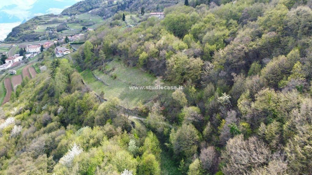 Terreno di 2538 m² a Isera - Vista 4