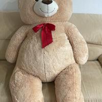 Orso peluche