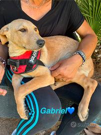 Gabriel e Gerry