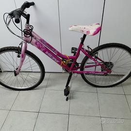 bicicletta 