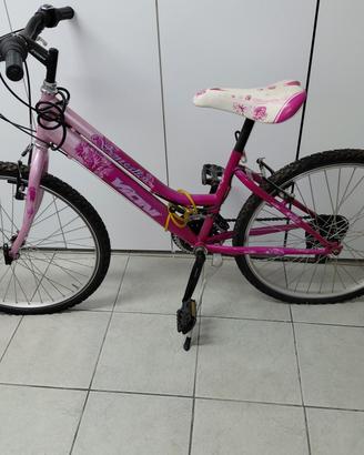 bicicletta 