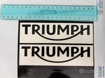 Adesivo triumph