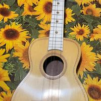 Chitarra Bontempi Per Bambino