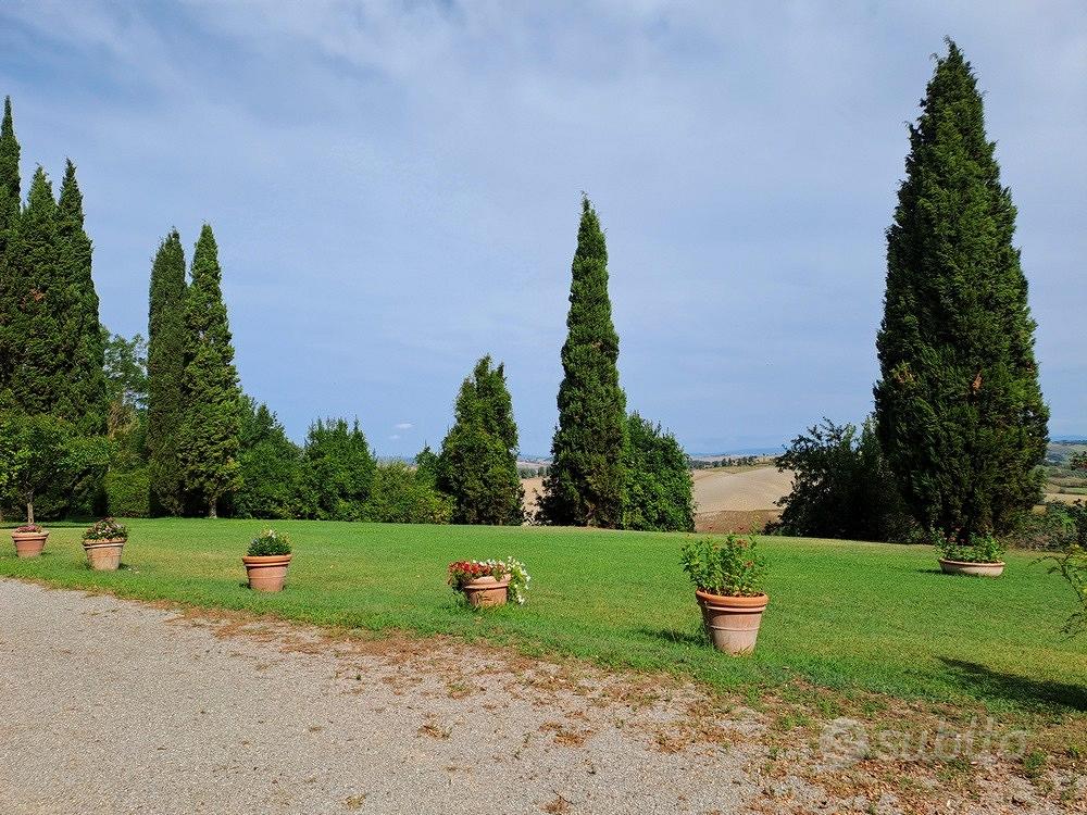 Antico Casale in collina Buonconvento Siena - Vista 2