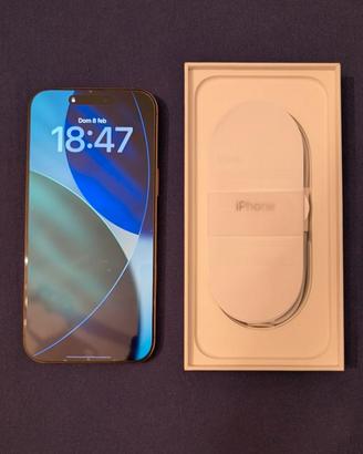 Apple iPhone 16 Pro Max 256GB pari al Nuovo