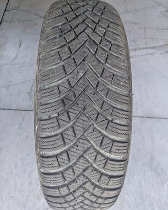 gomme invernali panda