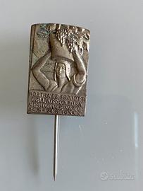 Spilla commemorativa
