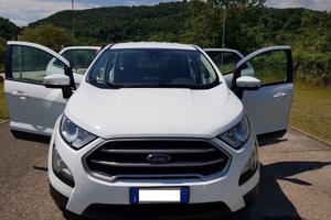 Ford Ecosport Connect – 2020 – 103.000 km – €12.50