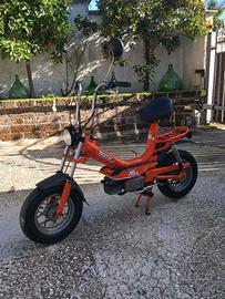 Malaguti Track AS4-50-1978-CONSERVATO-4MARCE-