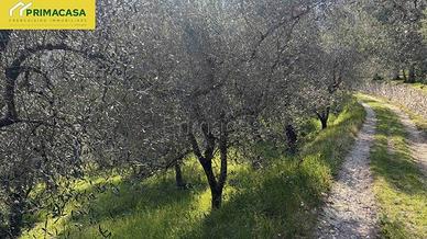 Terreno di 1840 m² a Tignale