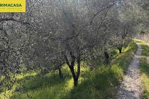 Terreno di 1840 m² a Tignale
