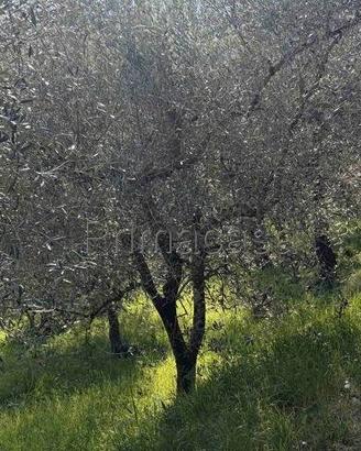 Terreno di 1840 m² a Tignale