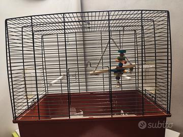 gabbia pappagalli e uccelli