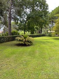 Villa capalbio toscana