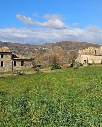 Azienda Agricola a Baschi