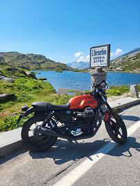 moto guzzi v7 850 stone IV